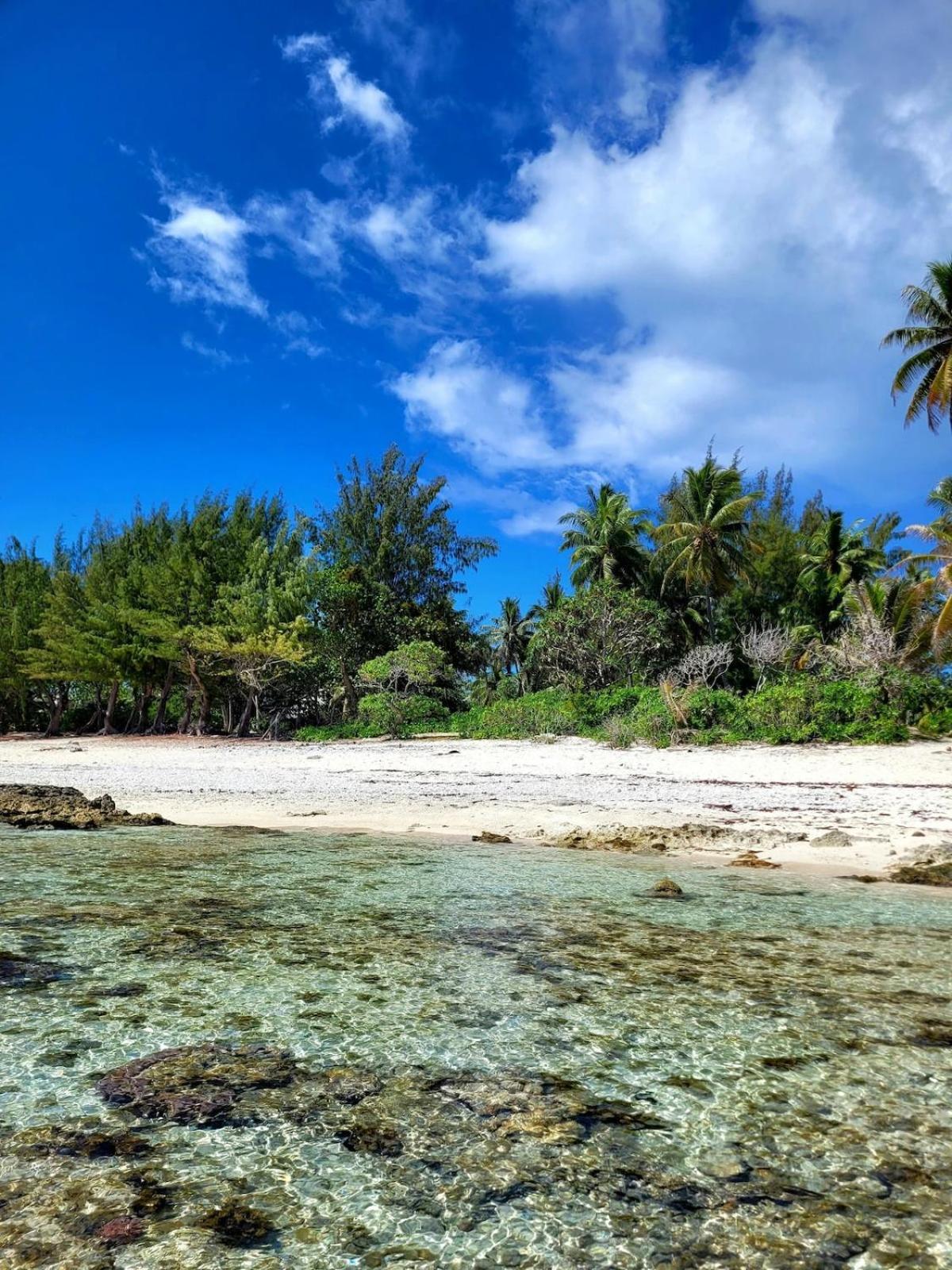 Un Ecrin De Paix Au Soleil Et Proche De La Mer Moorea Exterior foto